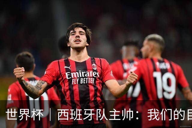 世界杯｜西班牙队主帅：我们的目标是赢得冠军