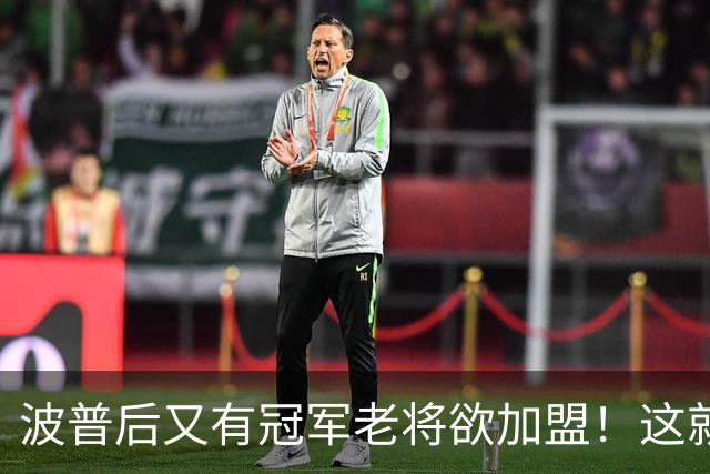 波普后又有冠军老将欲加盟！这就是詹姆斯的影响力，76人真赚麻了