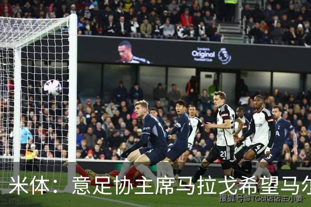 米体：意足协主席马拉戈希望马尔蒂尼周末前答复，有信心他会加入