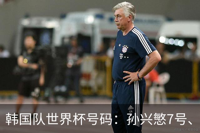 韩国队世界杯号码：孙兴慜7号、李刚仁19号、朴镇燮16号