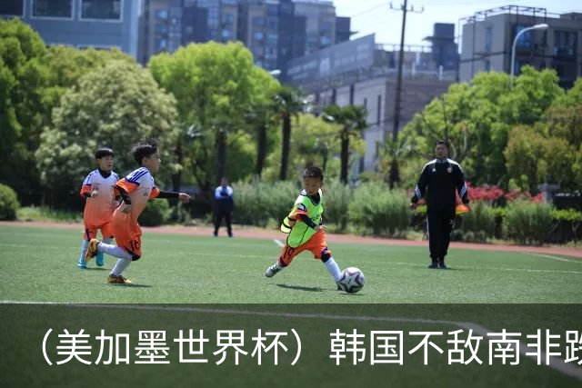 （美加墨世界杯）韩国不敌南非跌至小组第三 出线前景待定